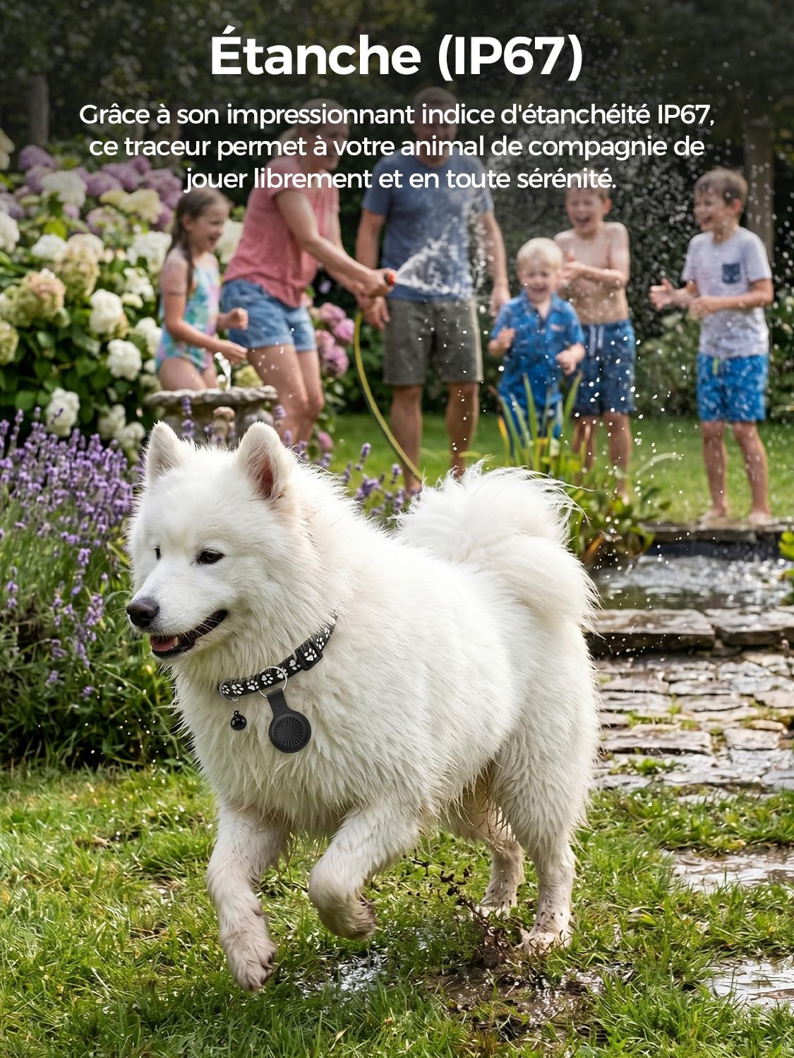 Traceur GPS Chat, Collier GPS Chat GPS Chien Compatible iOS et Android, Aucun Frais Mensuel, Suivi Mondial en Temps Réel, Étanchéité IP67, Historique des Trajets sur 7 Jours, Convient aux Chats Chiens
