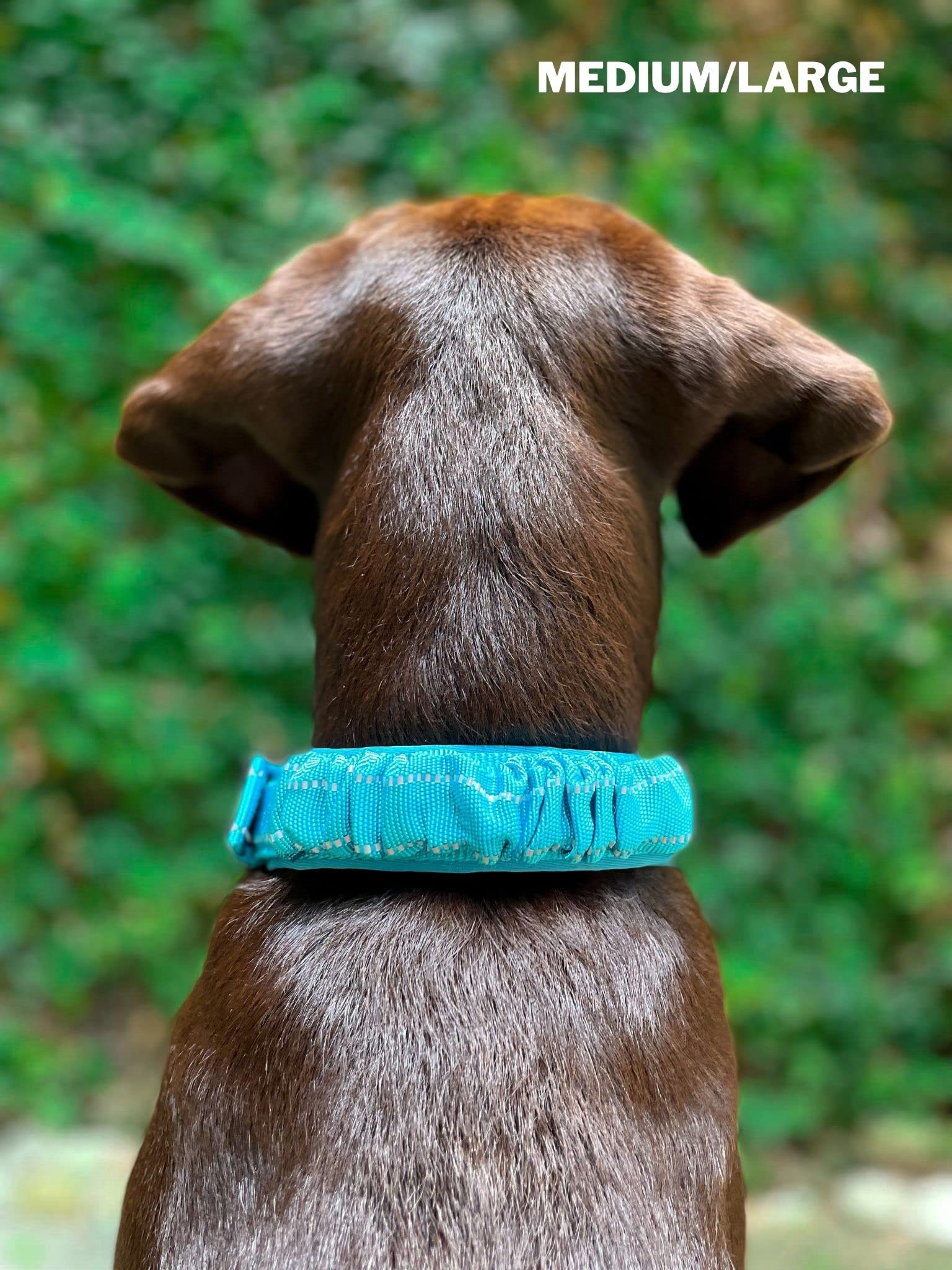 Collare per cani resistente Tuff Pupper con manico | Collare resistente in nylon balistico | Collare per cani riflettente imbottito con hardware regolabile in acciaio inossidabile