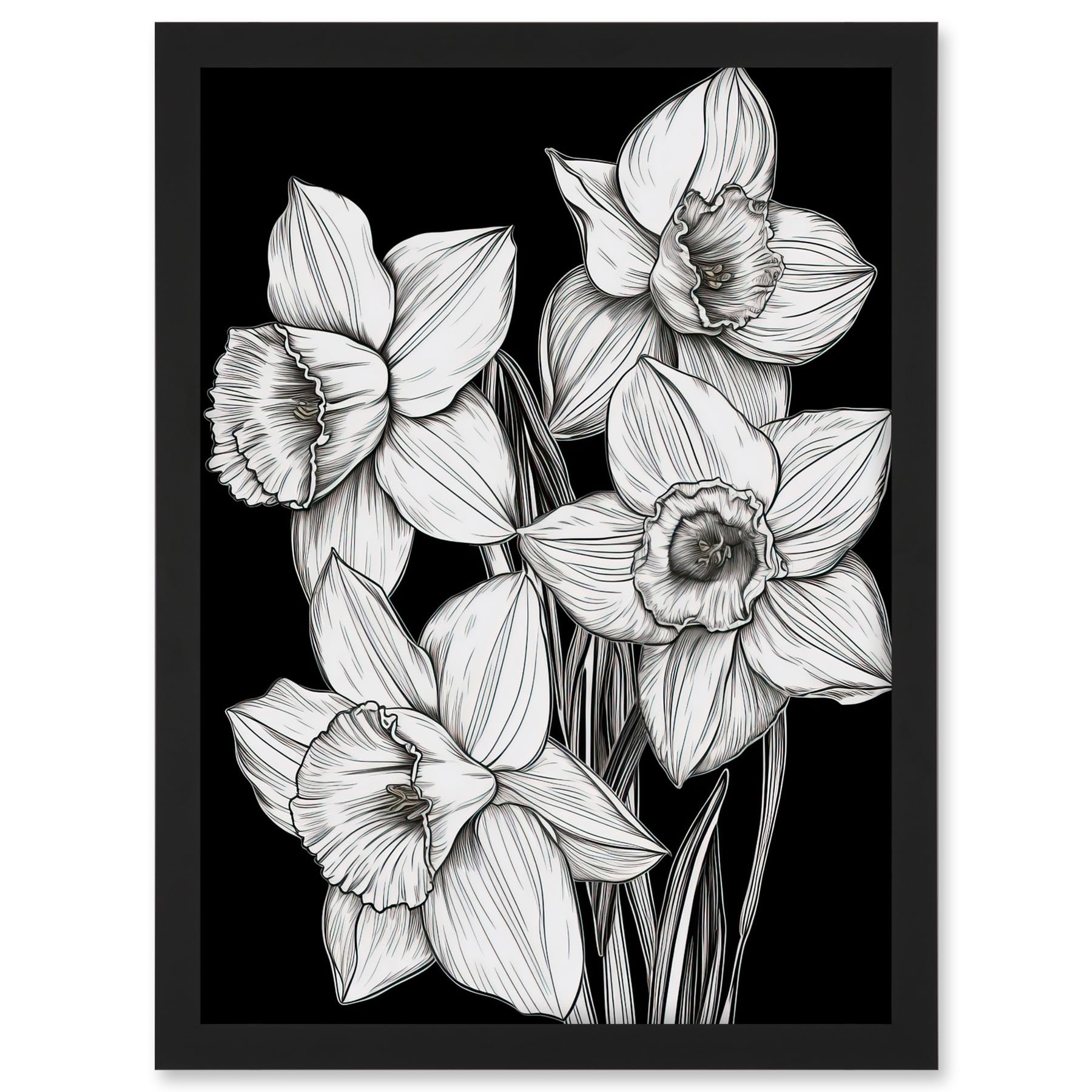 Artery8 Daffodil Wildflower Plant Blooms Black and White Artwork Framed A3 Wall Art Print
