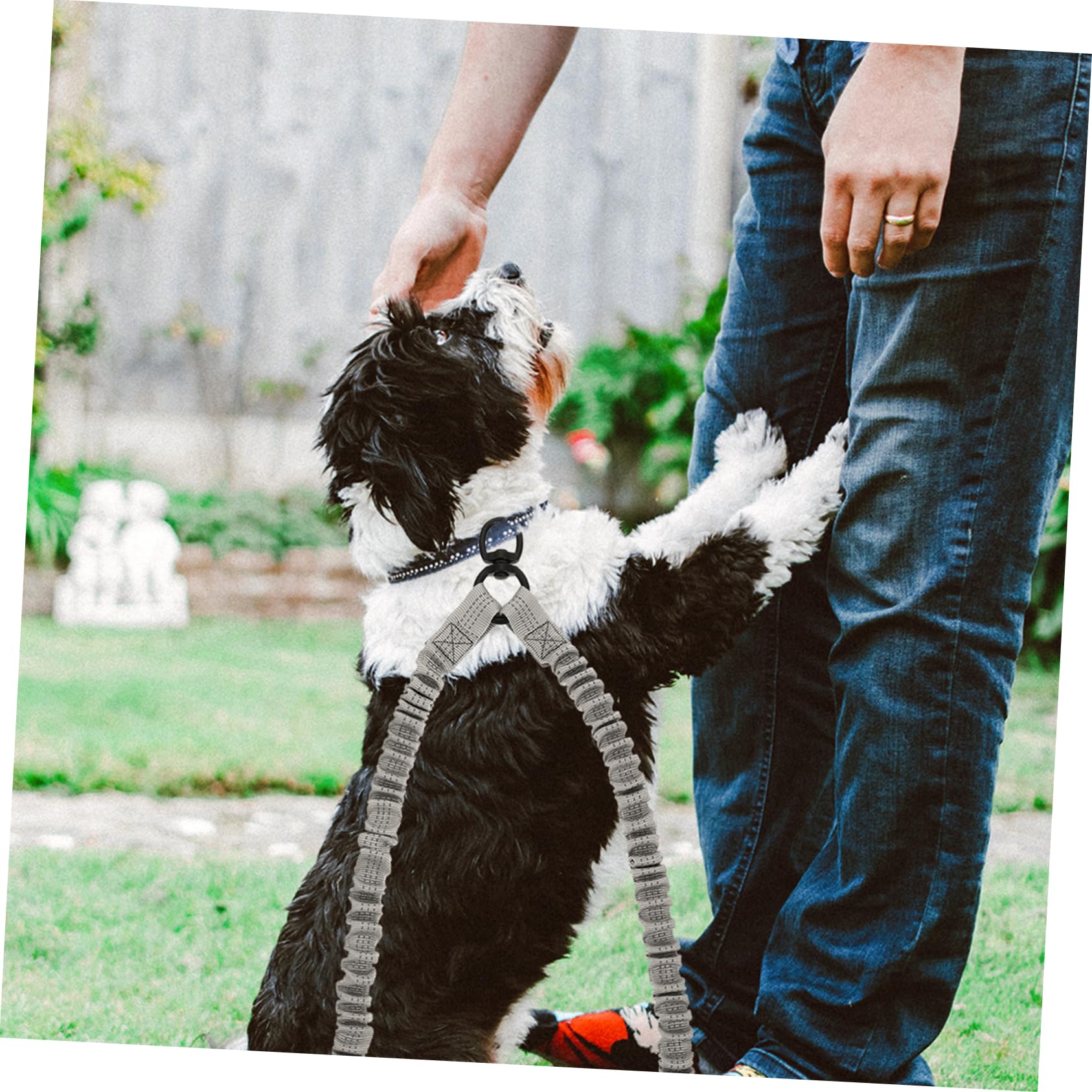 GANAZONO Double Headed Reflective Dog Leash Strong Elastic Outdoor Leash for Safe Walking Lightweight Design with Ergonomic Control for Pets for Use