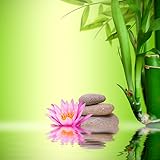 - Anwendung installieren Lotus Live Wallpapers