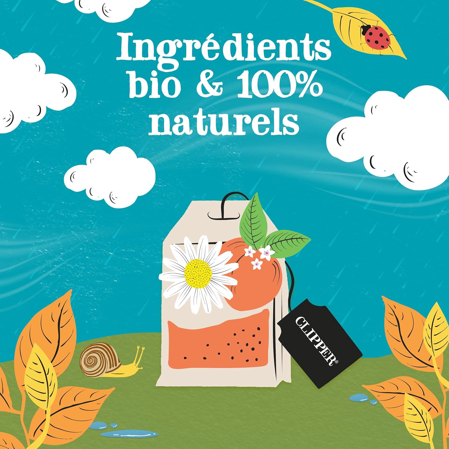 Clipper Infusion Bio Camomille & Pêche: Détente Naturelle et Éthique - Image détaillée