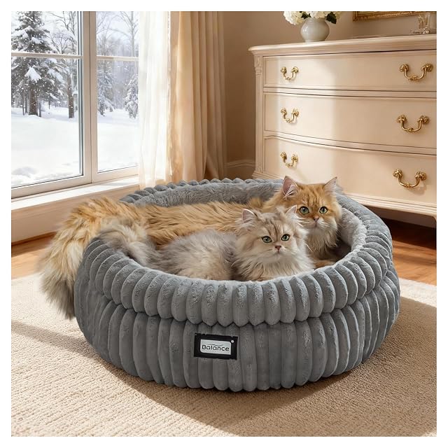 Foto 8 de 8 de Balance Cama para Gatos, Camas Redondas Lavables para Gatos de Interior