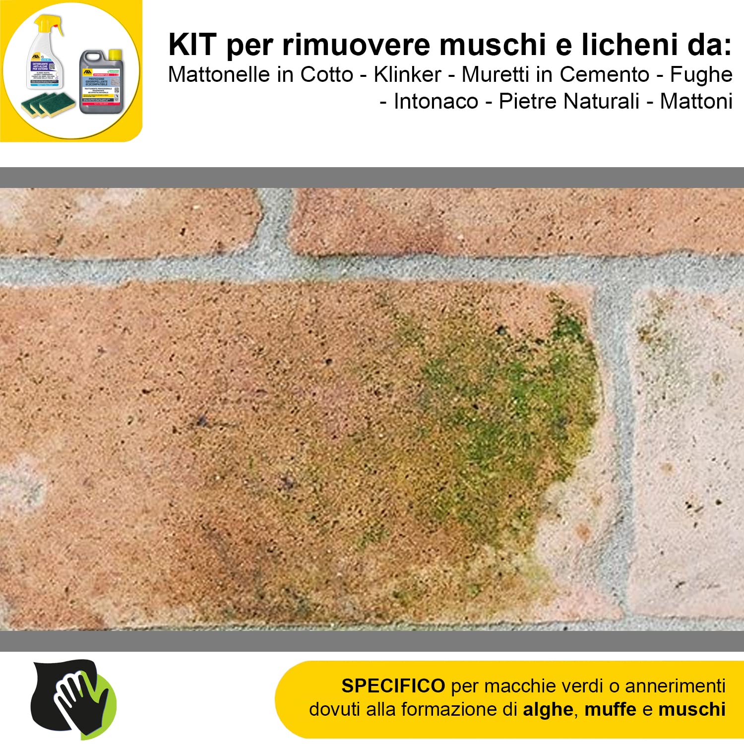 MASTERBRICO Kit Pulizia con Algaenet 500ml + Hydrorep Eco 1L + Spugne – Detergente Anti Alghe + Protezione Idrorepellente Ecocompatibile Per Rimuovere Muschi da Cemento, Fughe, Mattoni, Klinker, Tufo