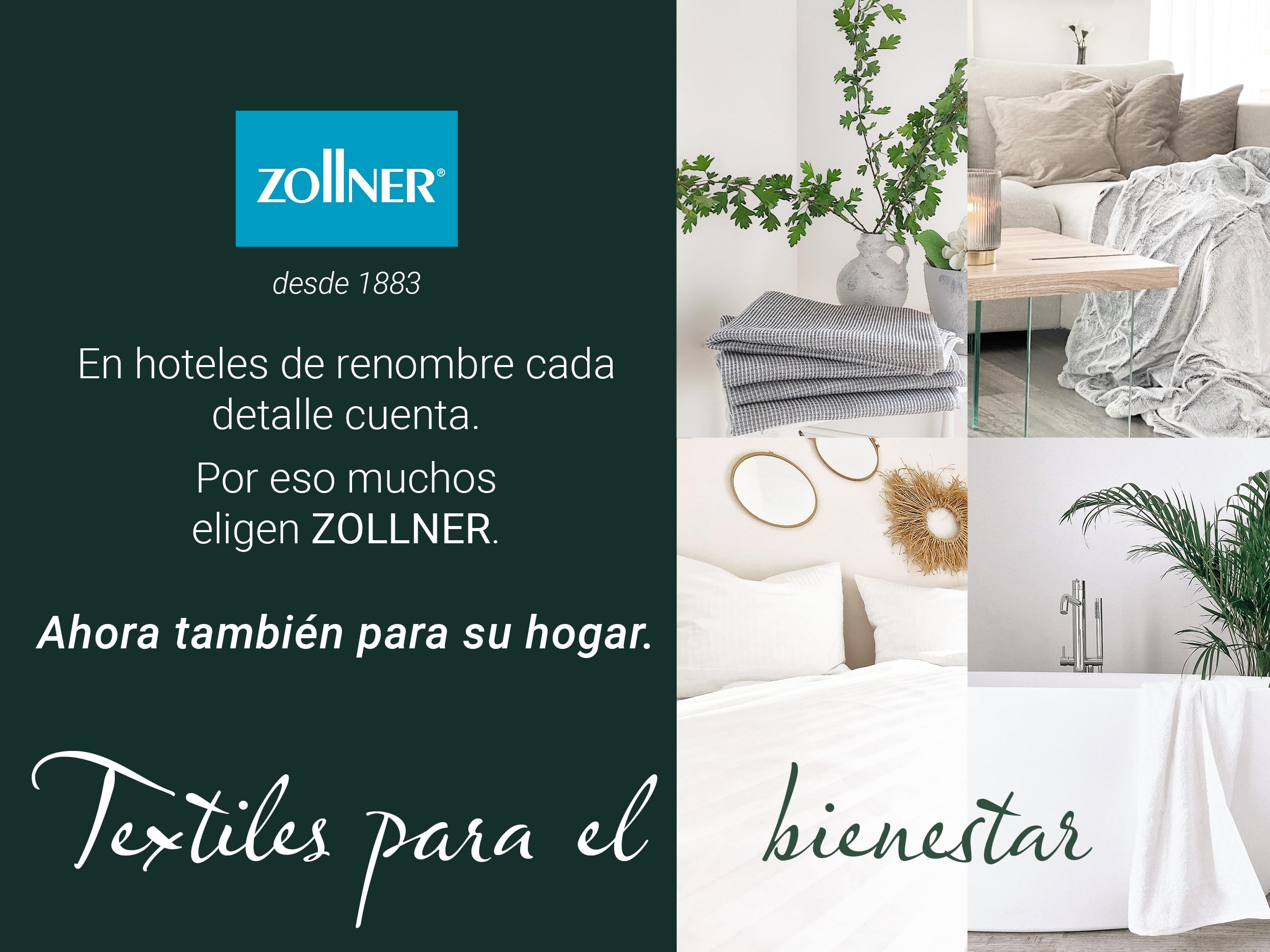 ZOLLNER Almohada de Plumas Premium con Contenido de plumón - Made in Germany - Apta para alérgicos - Funda de algodón Mako Lavable hasta 60°C - 40x40 cm - Calidad hotelera