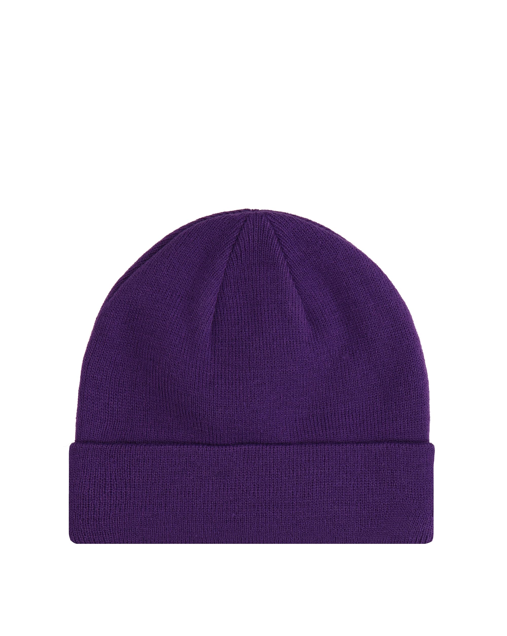 Champion Unisex Purple (Vs025) -Adult Lifestyle Caps (806064) -Recycled Acrylic Knitted Yarn Embroidered Script Logo Beanie Hat, One Size
