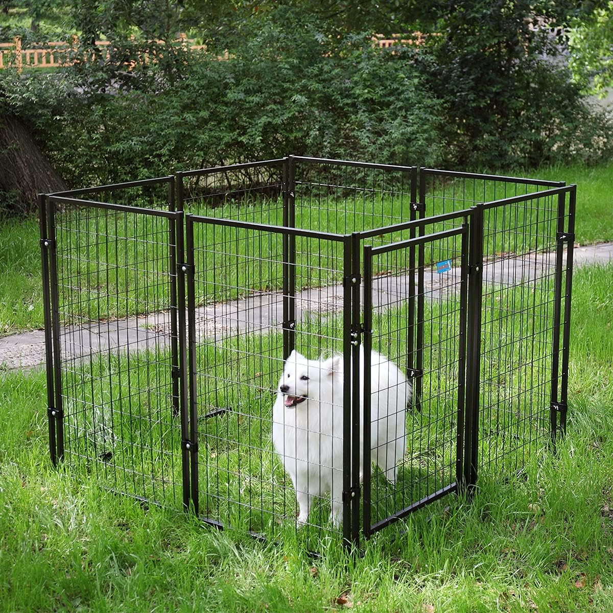 dog fence enclosure