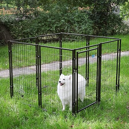 iron dog fence