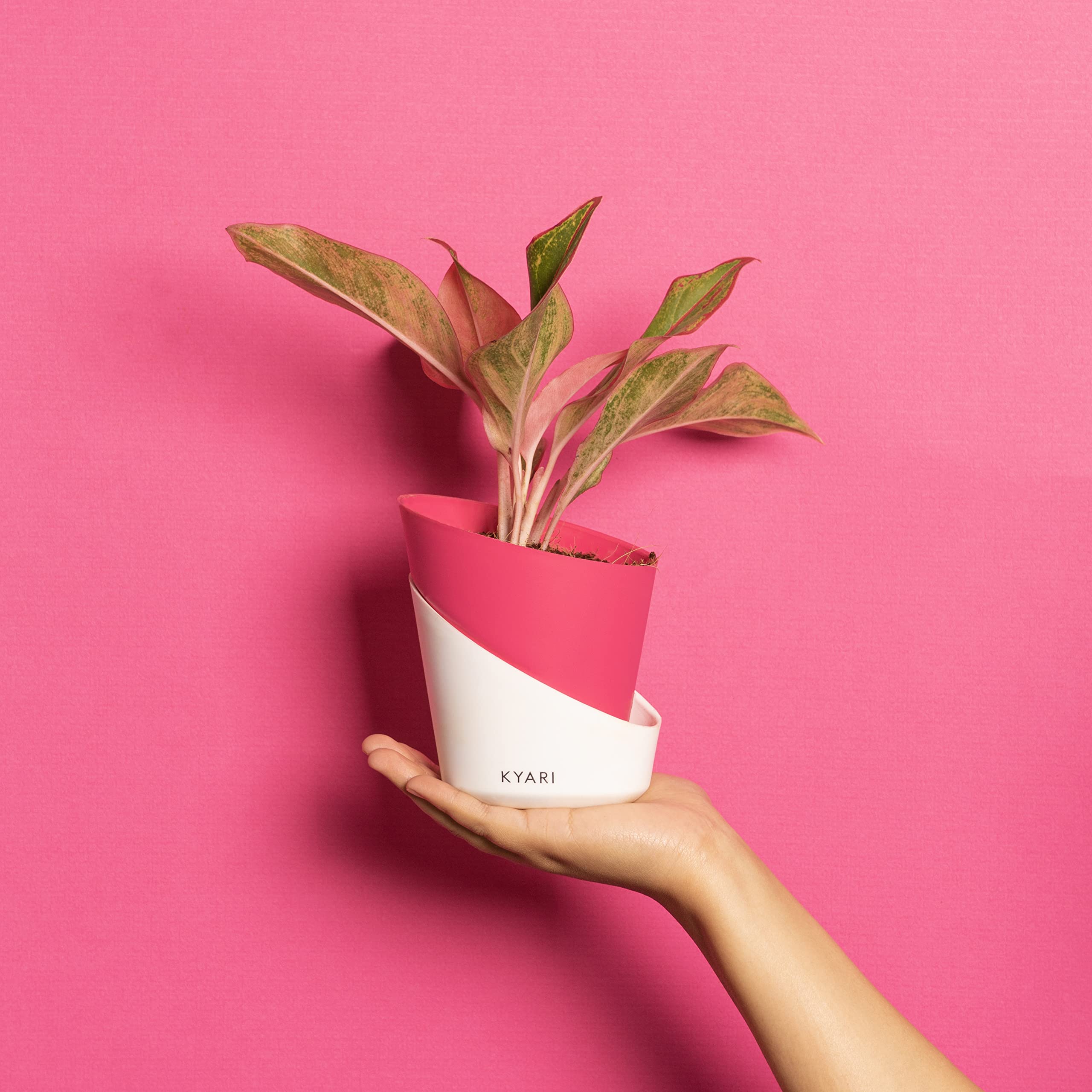 Magenta Self-Watering Pots - 8 Pack for Indoor Plants -2