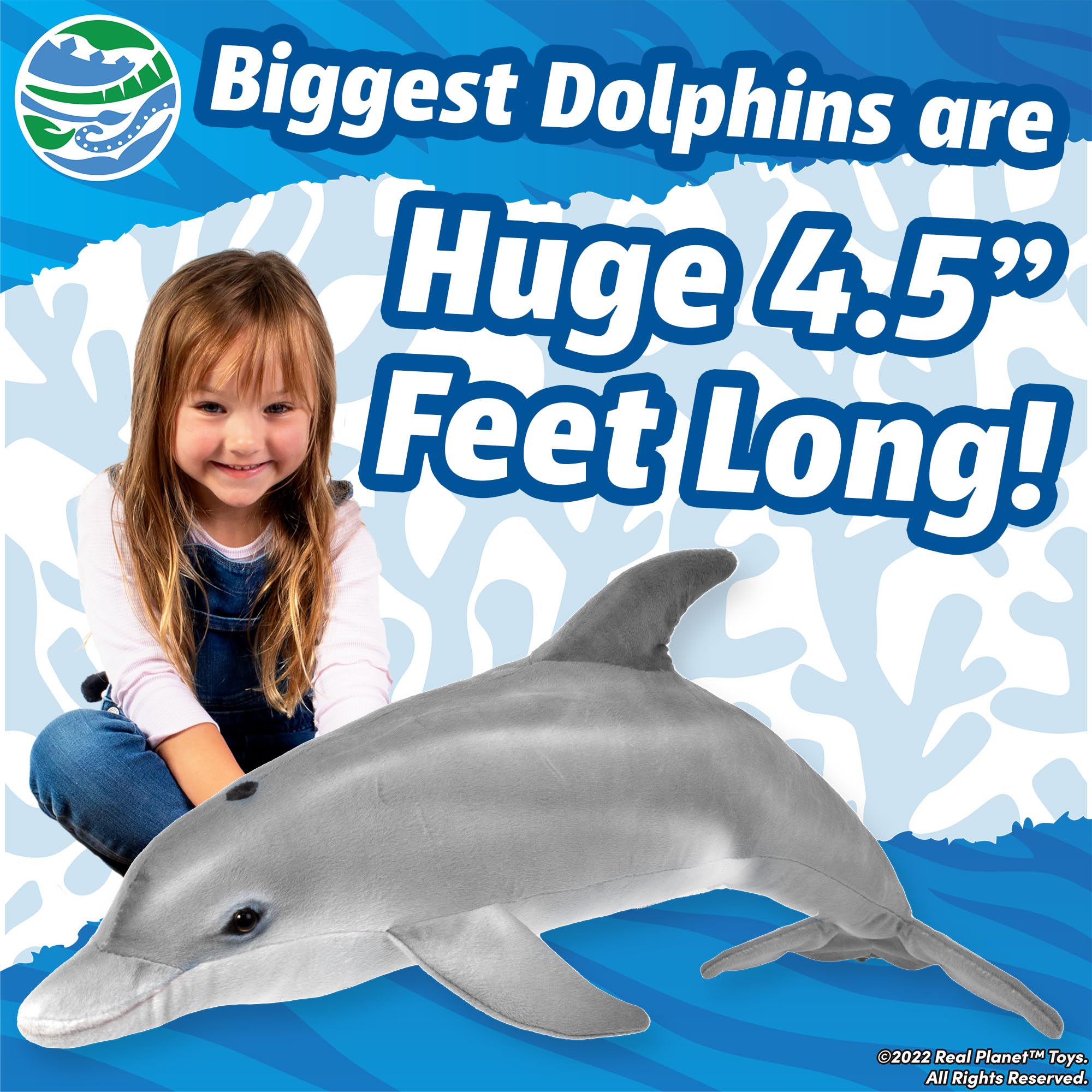 イルカぬいぐるみグレー ♪ CUTE イルカ ぬいぐるみ グレー いるかの通販 by プロフ必読♡｜ラクマ