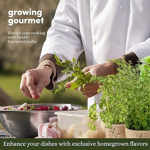 Miniatura 6 de Planters' Choice Kit de jardín de 9 hierbas para ventana de interior, semillas de plantas de interior, las mejores ideas de regalo únicas para