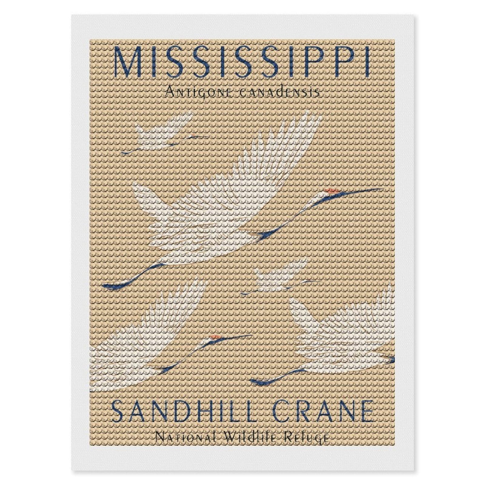 Junmoney Mississippi Sandhill Crane Diamond Painting Canvas Kit 12"x16", Round Gems, Living Room Decor, Seasonal Gift Choice, Modern Decor