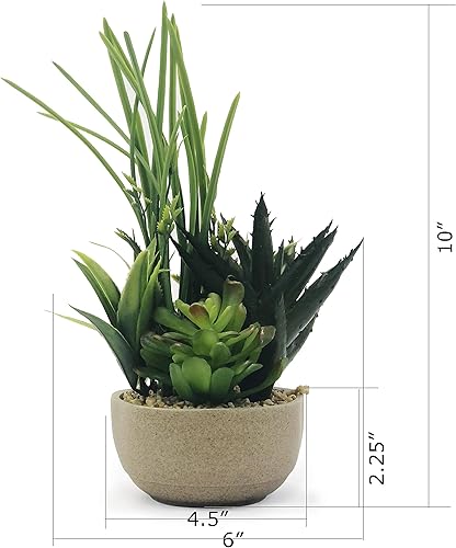 Miniatura 6 de allgala Pequeña planta suculenta artificial de escritorio con maceta de arcilla natural