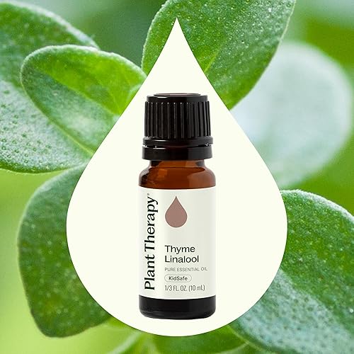 Miniatura 3 de Plant Therapy Aceite esencial de tomillo linalool 10 mL (1/3 oz) 100% puro, sin diluir, grado terapéutico