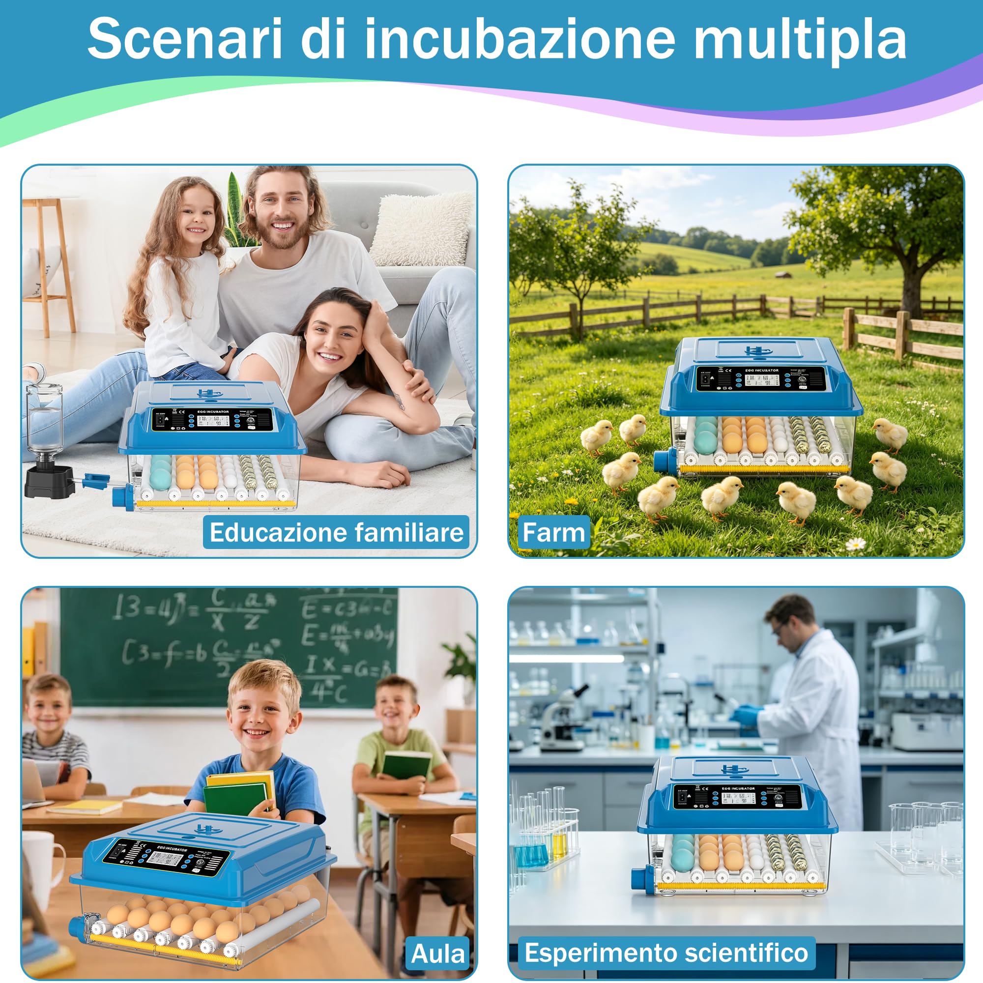 incubatrice automatica 36 uova, 5 modalità cova auto, regolatore acqua esterno, controllo temperatura, rotazione uova auto, display cova, per galline anatre oche (Blu)