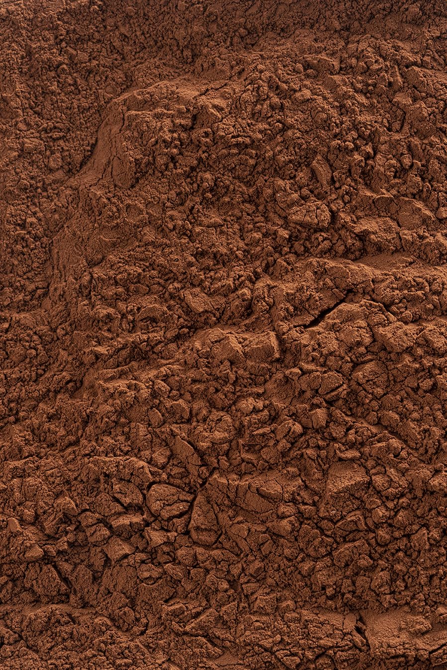 Barry Callebaut Extra Brute cacao in polvere 1KG