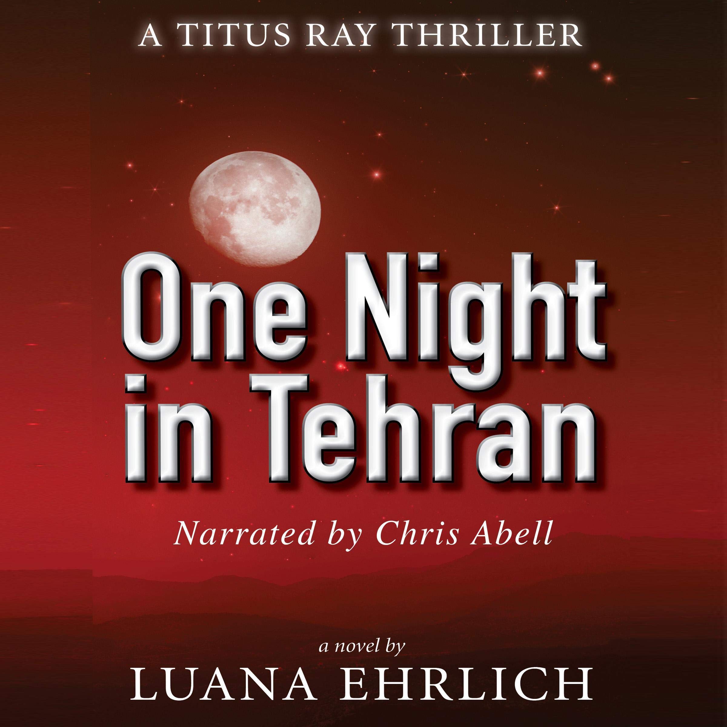 Cover art for One Night in Tehran