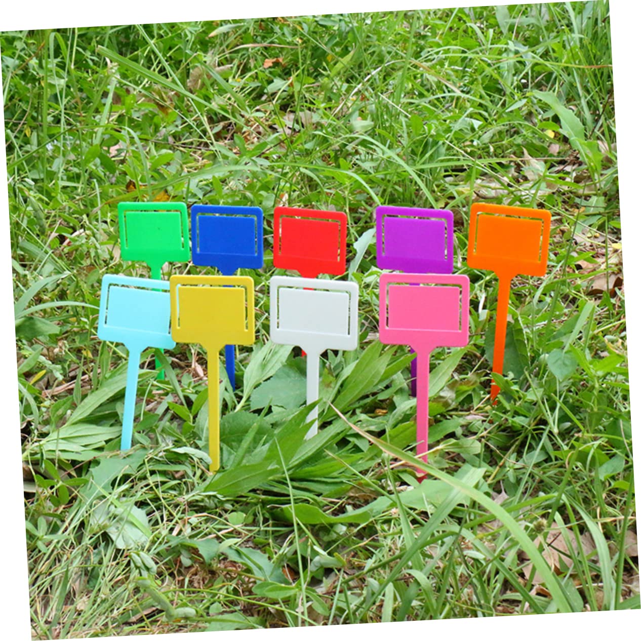 POPETPOP 3 Juegos Tarjeta De Inserción A Prueba De Agua Impermeable Planta Insertar Tarjeta Etiqueta Pp Etiqueta Resistente A La Luz De Clasificación De Jardinería 50 Uds * 3