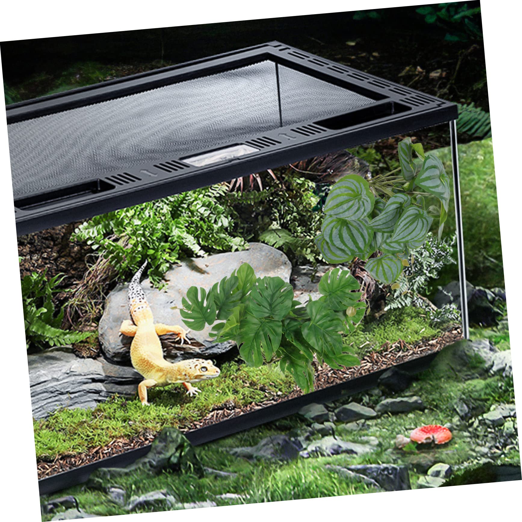 DOITOOL 4piezas Artificiales De Succión para Reptiles Decoraciones Naturales para Terrarios y Acuarios Simulación De Lifelike