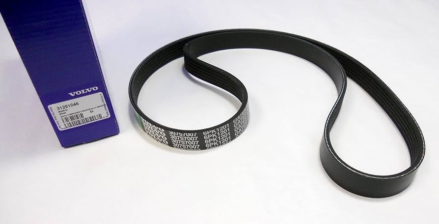 MOVE FACTOR X (VBTデバイス）　ジャンプ測定用ベルト付き MOVE FACTOR X (VBTデバイス） ジャンプ測定用ベルト付き VBT