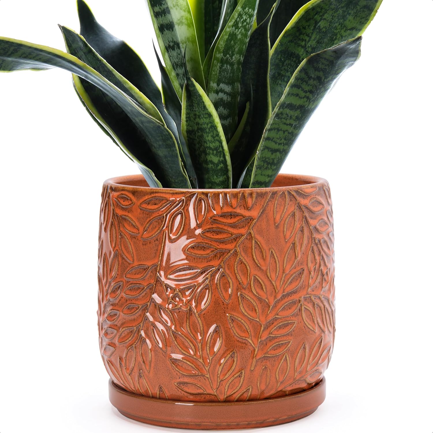 D'vine Dev 8 Inch Embossed Leaves Stoneware Planter Pot with Drainage Hole and Saucer, Olive, 27-A-Q-0
