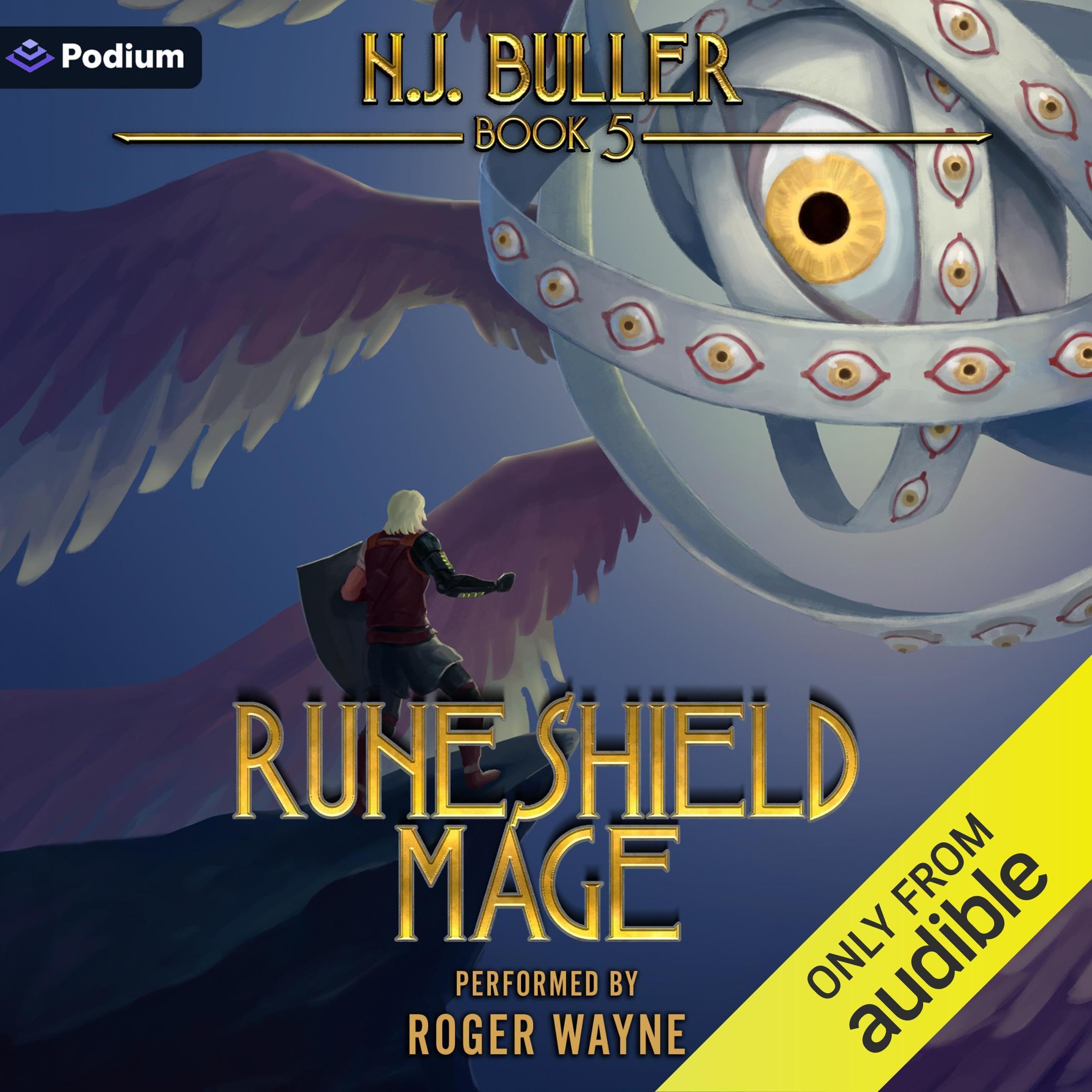 Cover art for Runeshield Mage 5
