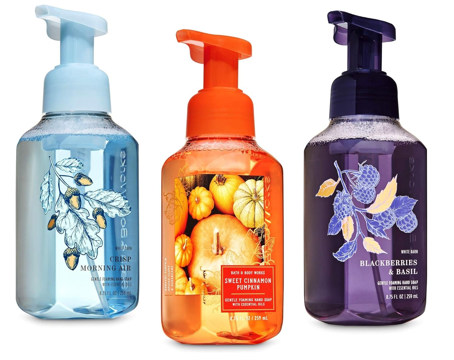 Bath & Body Works Crisp Morning Air + Sweet Cinnamon Pumpkin + Blackberries and Basil, Gentle Foaming Hand Soaps (3 Pack)