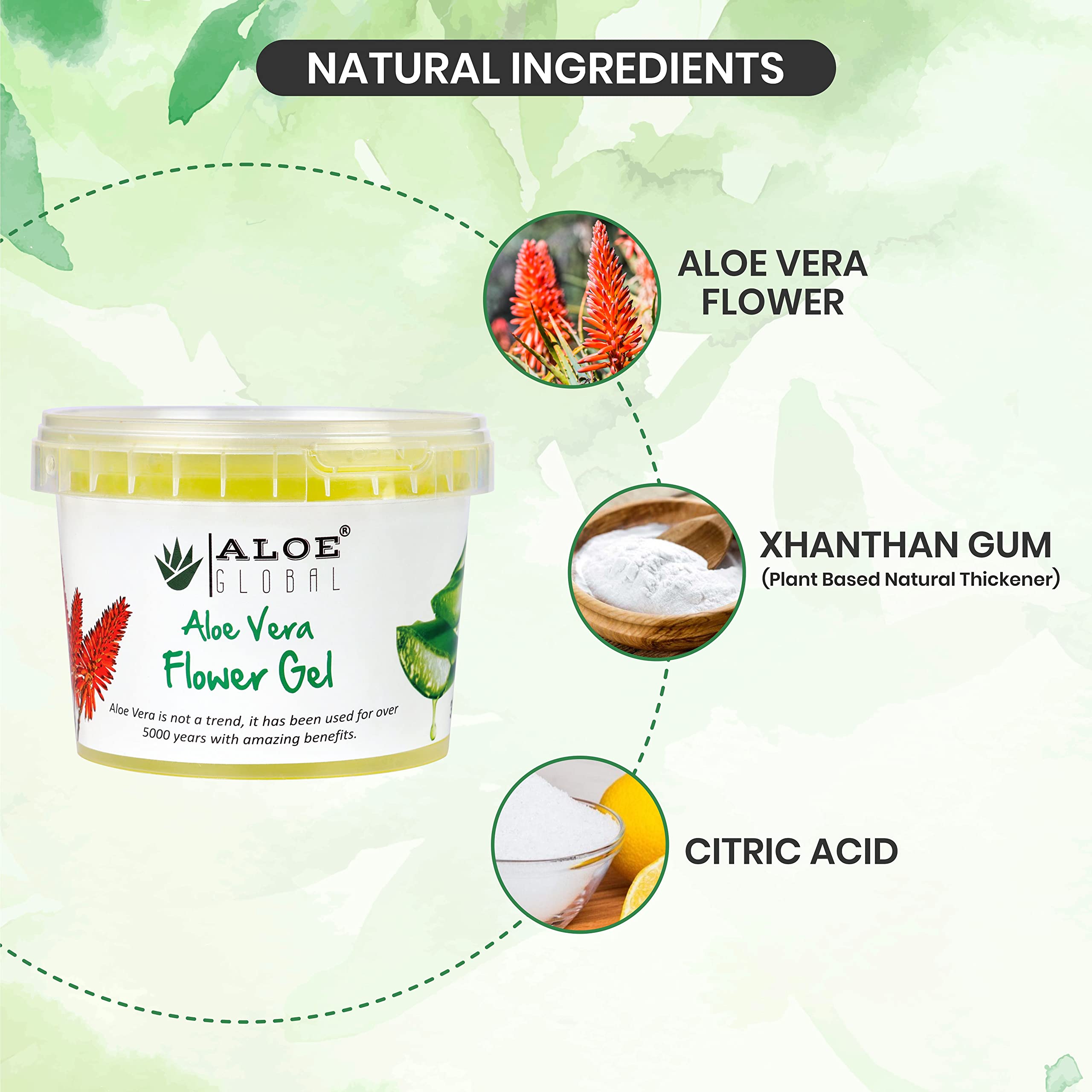 Aloe Global Natural Aloe Vera Flower Gel for Skin | Smooth Skin | Control  Acne | Suitable for all types of Skin, 300 gm : Amazon.in: Beauty