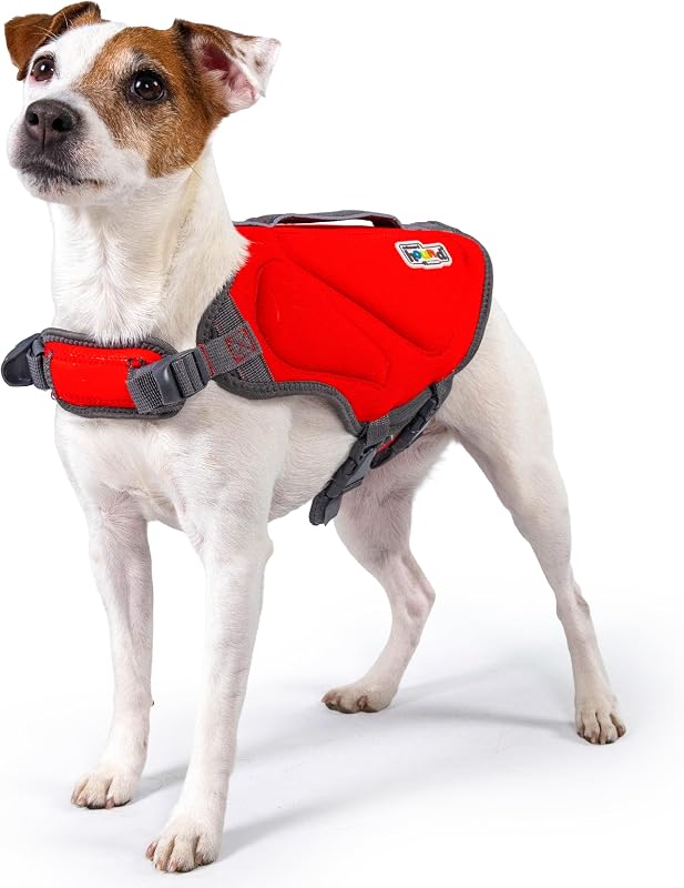 Outward Hound Dawson Swim Chaleco salvavidas para perros, chaleco salvavidas, rojo, pequeño | Alta flotabilidad, aislante, ajuste ajustable, mango de rescate, reflectante, natación y navegación, perros pequeños y cachorros (circunferencia de 16 a 20 pulgadas)