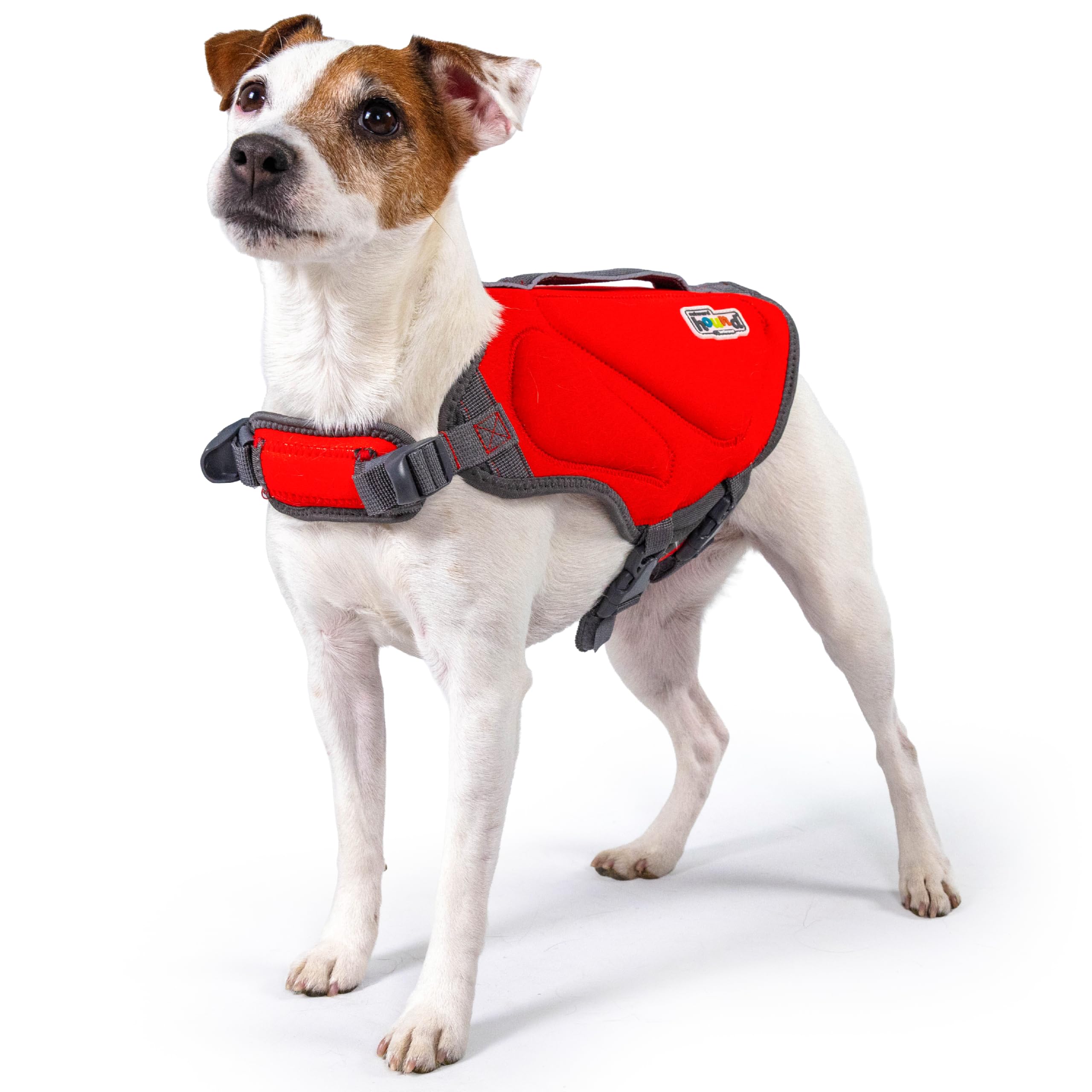 Outward Hound Dawson Swim Red Dog Life Jacket, Small