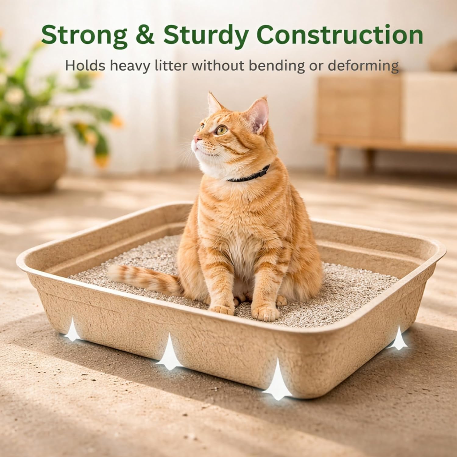 Disposable Cat Litter Box 6 Pack – Eco-Friendly Kitty Litter Box, 100% Biodegradable Paper Pulp, Leak-Proof Disposable Travel Litter Boxes for Cats, Cat Tray 18"x13"x4"