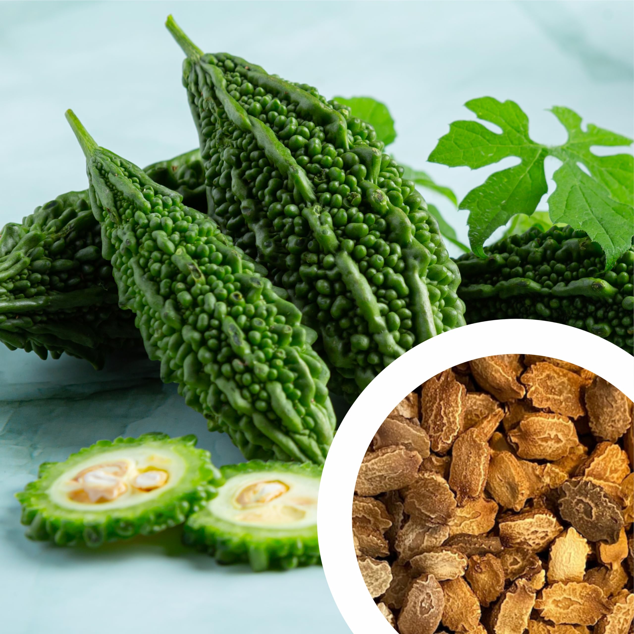GROW DELIGHT Bitter Gourd (Karela, Pavakai) (20 Seeds) Vegetable Seeds for Home Garden, Organic & Hybrid, Perfect for Home Gardening, Planting For Pots and Patio (B0D9H19V1M) Amazon Price History, Amazon Price Tracker