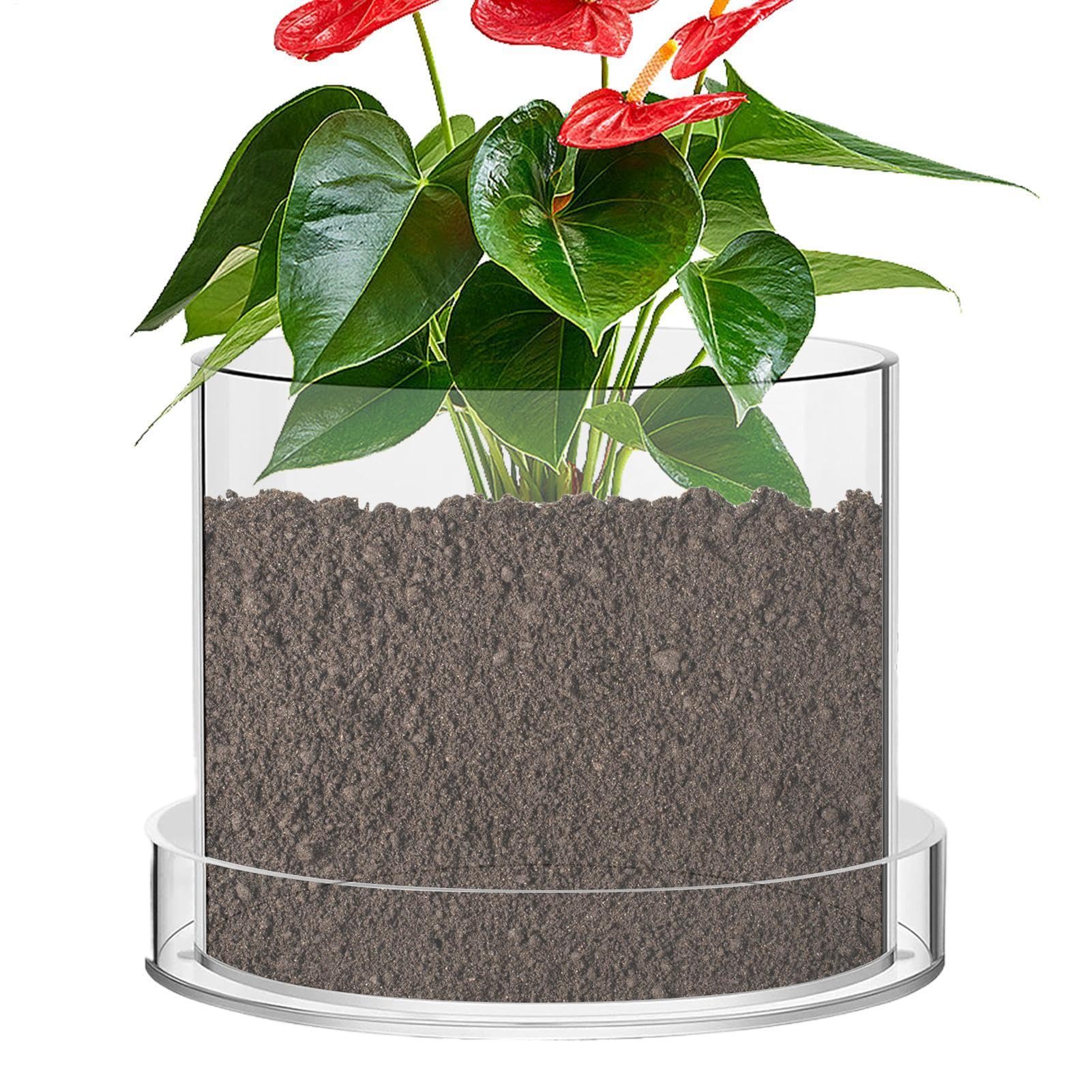 Pots Pour Transparents Avec Drainage Godets De Démarrage En Acrylique