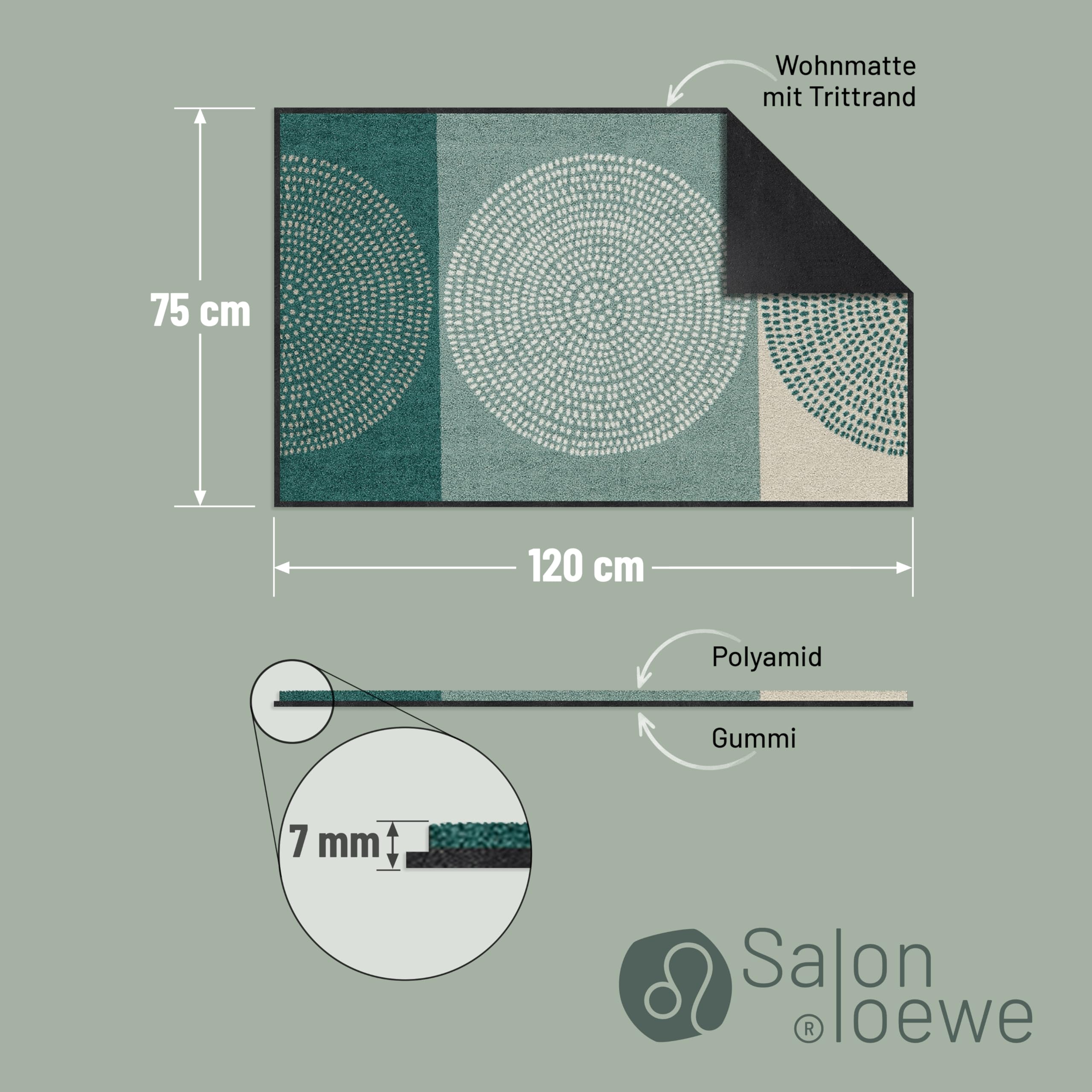 Salonloewe Fussmatte Nestor sage-beige I Schmutzfangmatte & Fußabtreter für Innen 75 x 120 cm