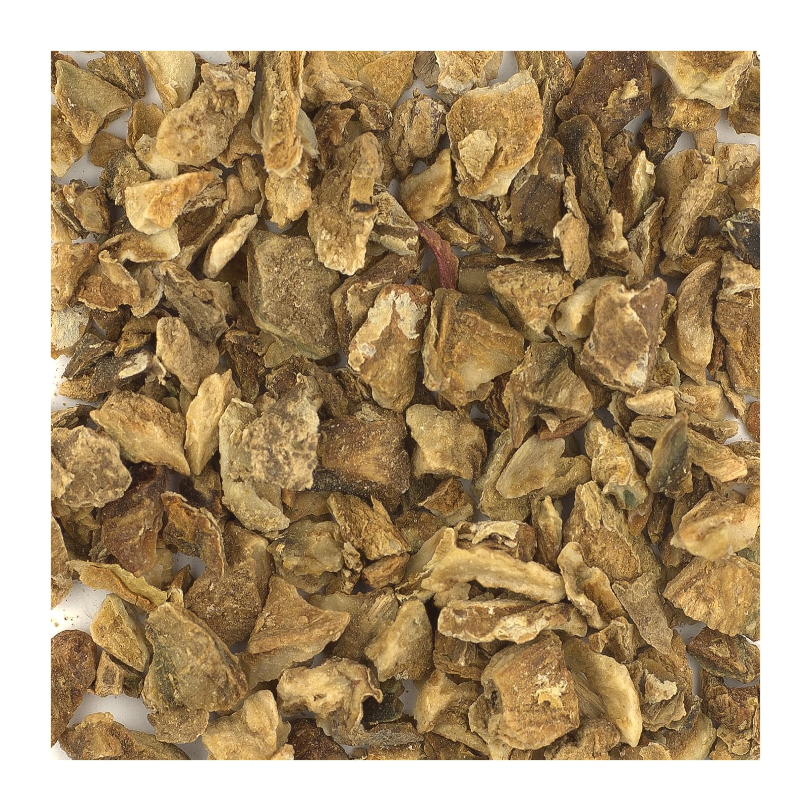 1000g Teufelskralle-Tee, Teufelskrallenwurzel - Galsters Kräuter | Wildsammlung, Teufelkralle, Harpagophytum procumbens