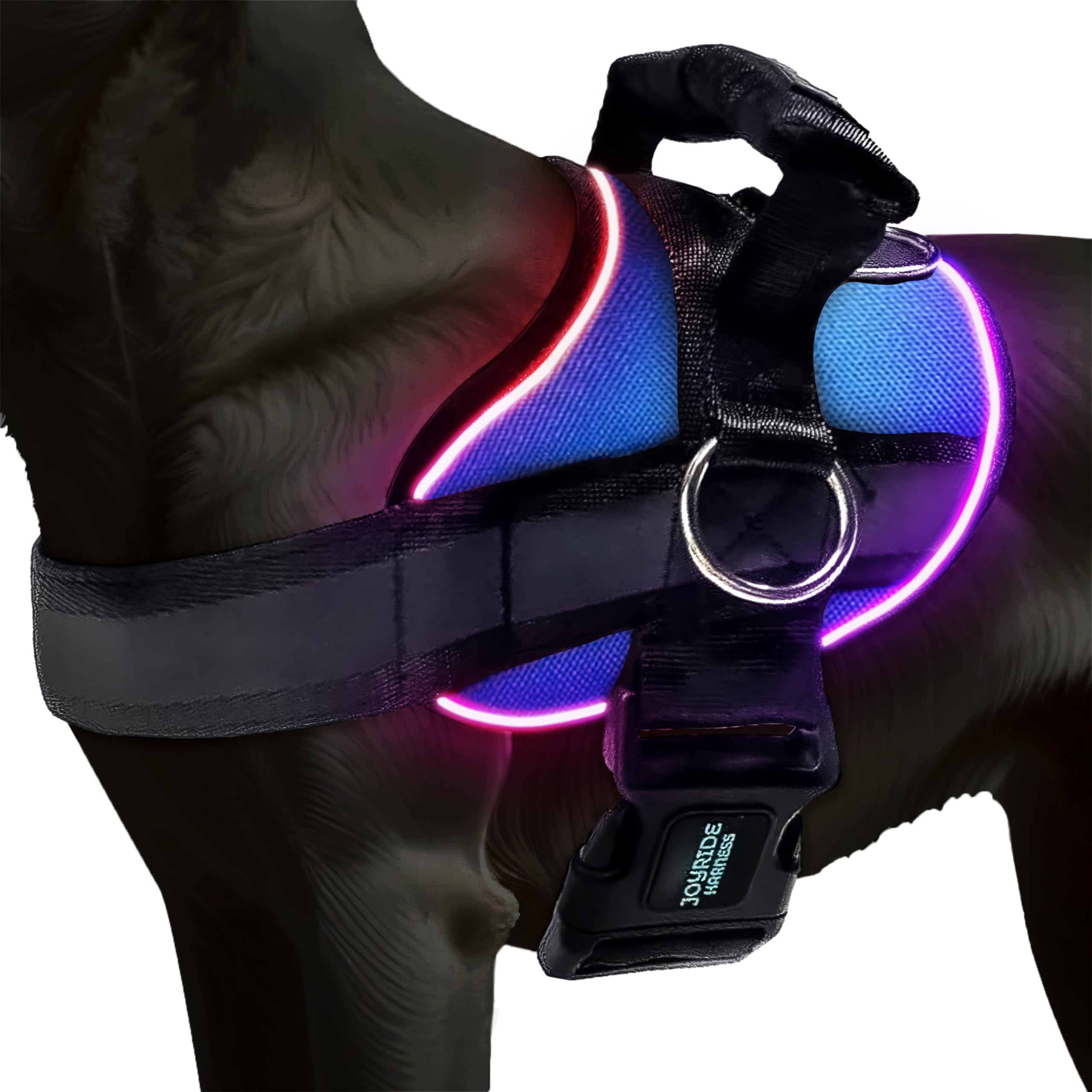 Joyride Harness LED Light Up Dog Harness 2.0 - Patent Pending Design, 3 LED Modes, Vibrant Rechargeable Lighting, Customizable Name Tag Area, and