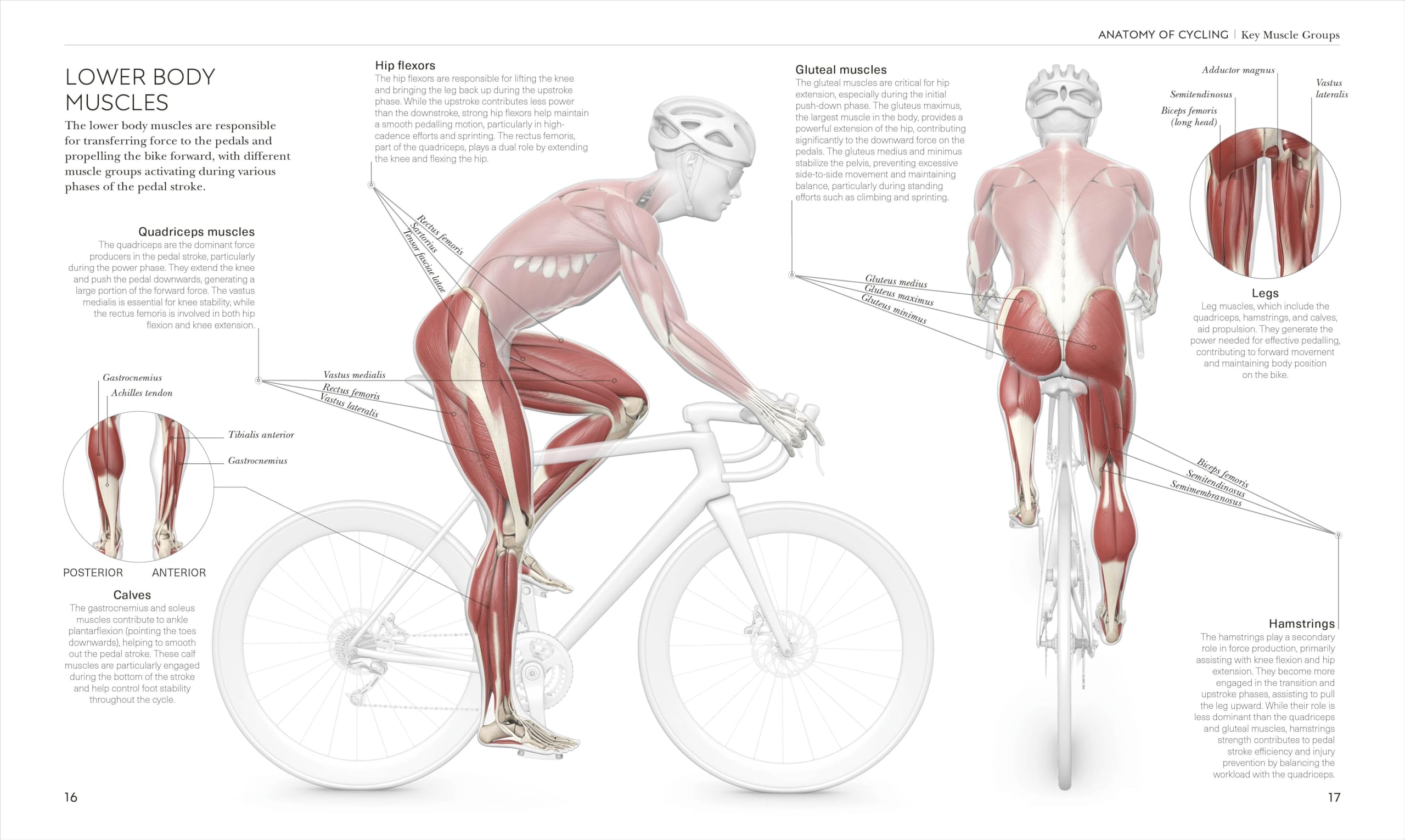 Science of Cycling: Transform Your Ride, Gain Strength, Revolutionize Your Training