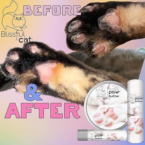 Miniatura 7 de The Blissful Cat Paw Butter, hidratante para almohadillas secas para patas, suaviza y protege una pata áspera, versátil bálsamo para patas de gato,
