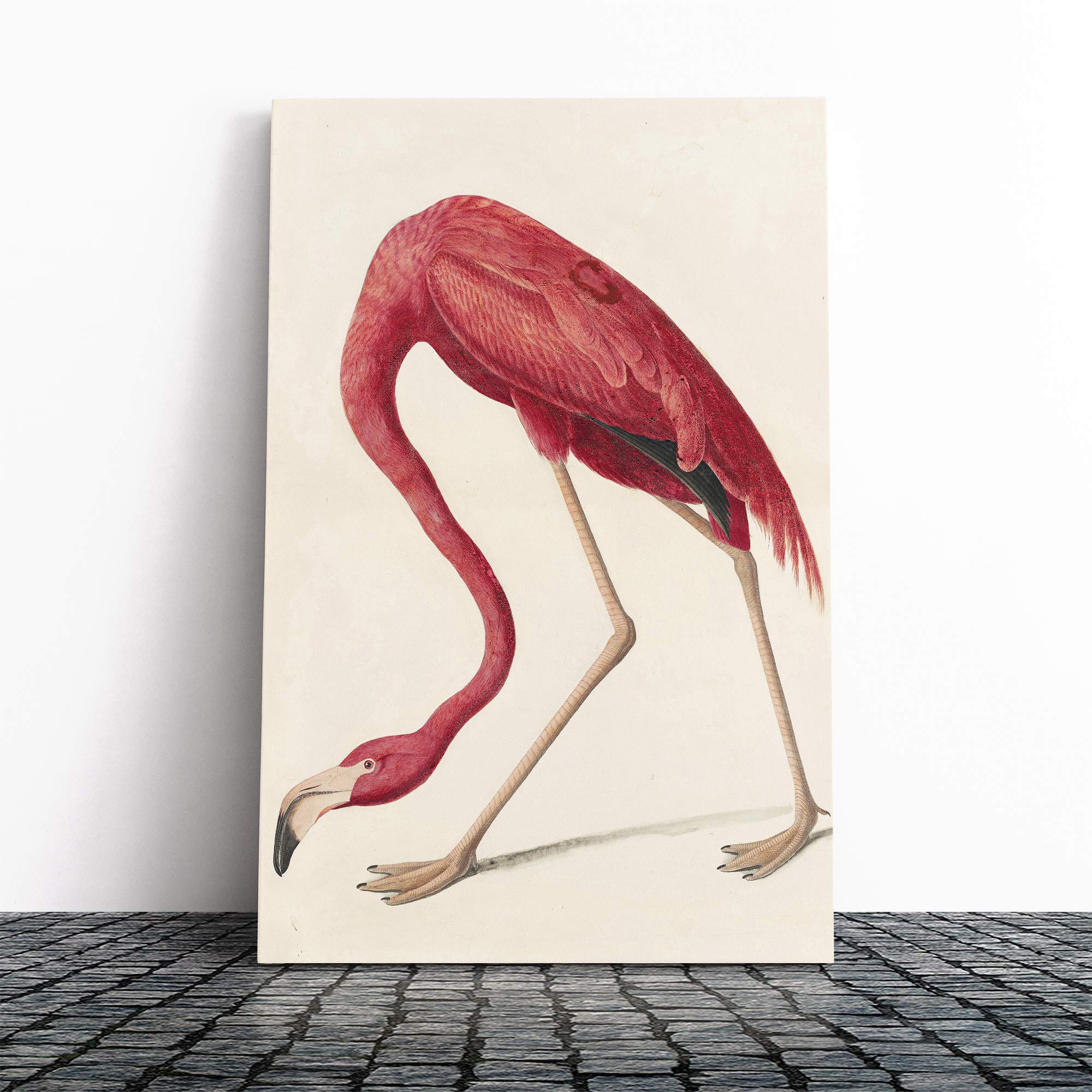 John James Audubon Flamingo Canvas Print | Gallery Wrapped 30mm Frame Wall Art | 24x16 inches | Ready to Hang | Modern Animals Picture | Living Room Bedroom Lounge Office