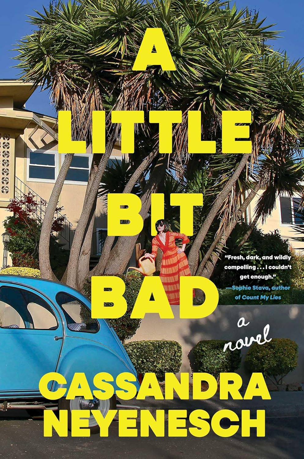 A Little Bit Bad: A Novel