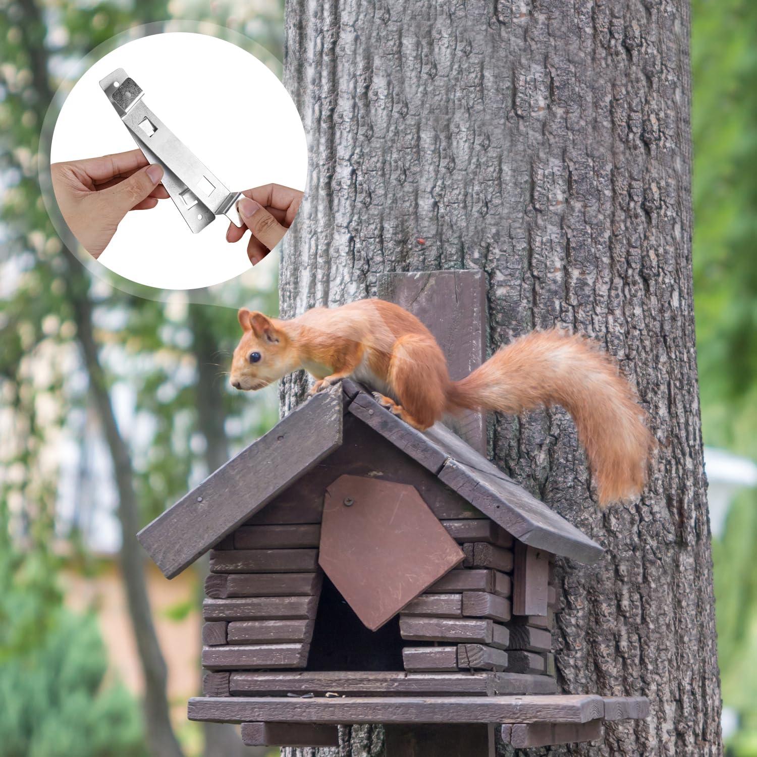 Blumenampel Aufhängung 2x Vogelhaus Halterung Metall - Wandmontage Für Nistkästen Wandmontage Aufhänger Für Nistkasten