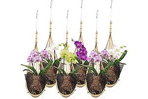 Orchid Hanging Planter: 6 Pack of 5-inch Bird Nest Plant Hangers