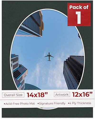 Tapete de 14 x 18 pulgadas, corte biselado para fotos de 12 x 16 pulgadas, apertura de tablero de fotos precortado negro ovalado, sin ácidos, mate