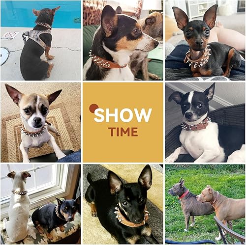 Miniatura 3 de PETCARE Collar de Perro con Pinchos Marrón de Cuero PU Suave con Hongos Divertidos Remaches Tachuelas Collar de Cachorro Ajustable para Exteriores