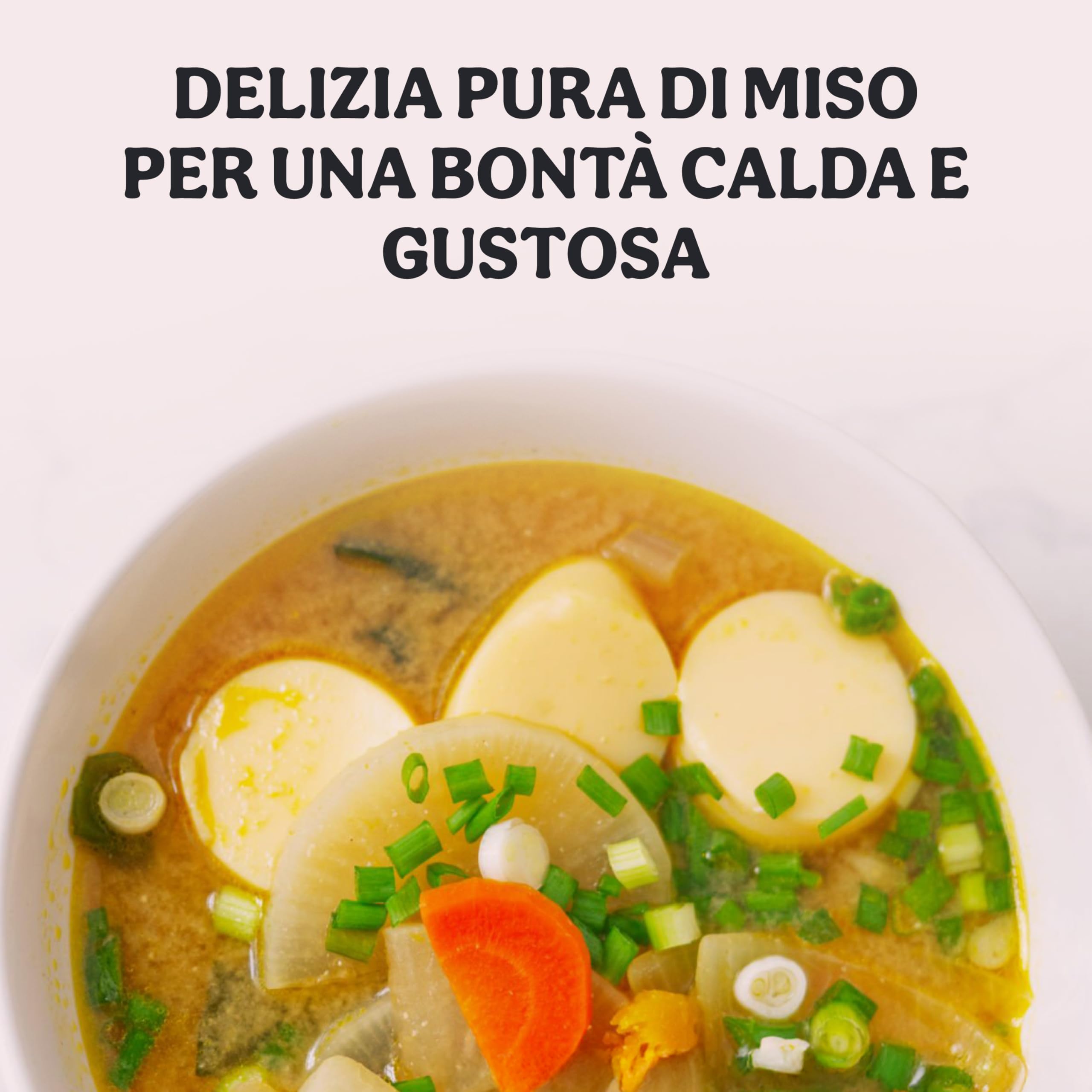 Probios Sopa de miso roja instantánea con algas Wakame bio embalaje (4x10g) 40g