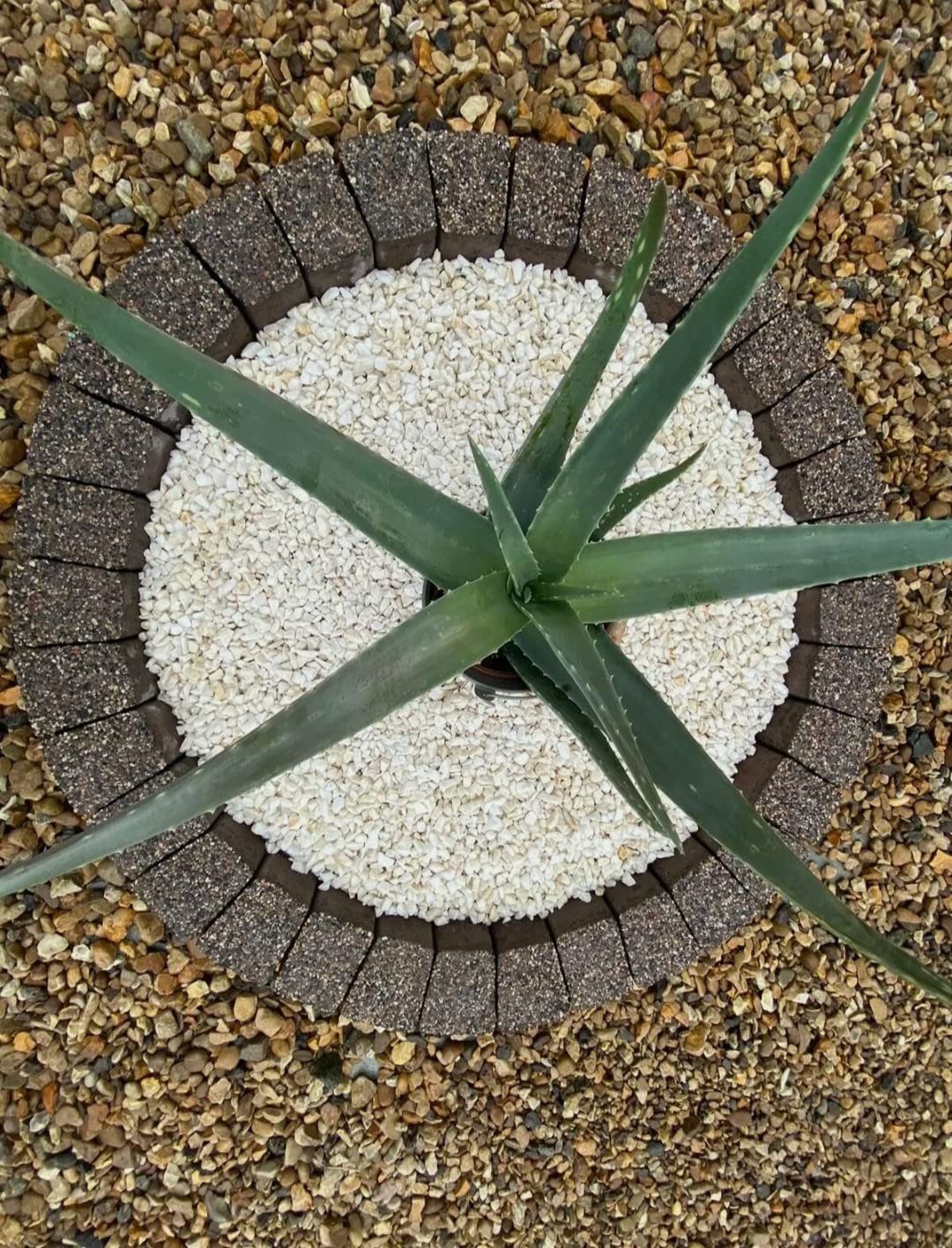 Garden Granite Circle Tree Surround Grass Border Paving Slab Stone Concrete Water Feature (120, Brown)