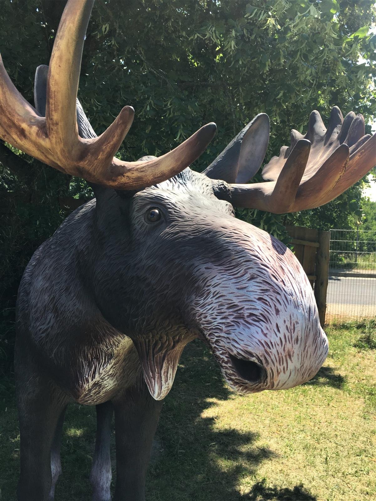 Lebensgroßer Elch Elche Lebensgroße Tiere Rudolph Rentier EDlchkuh Elchbulle Elchkalb