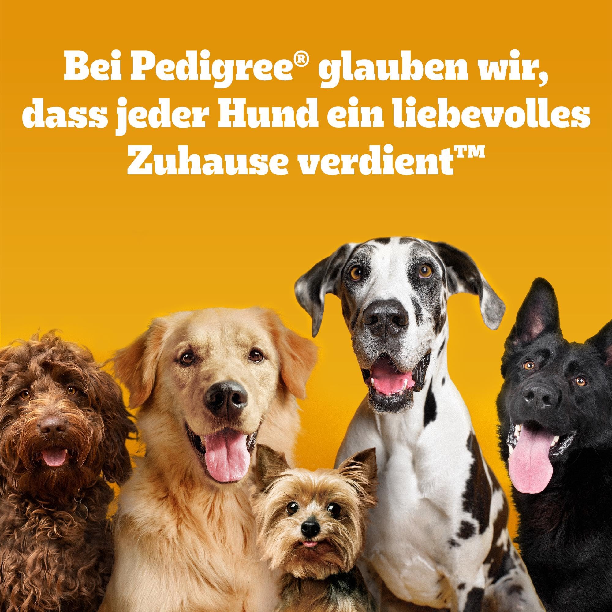 Pedigree Biscrok Multi Mix Hundesnacks 6 x 500g – Ansicht 10