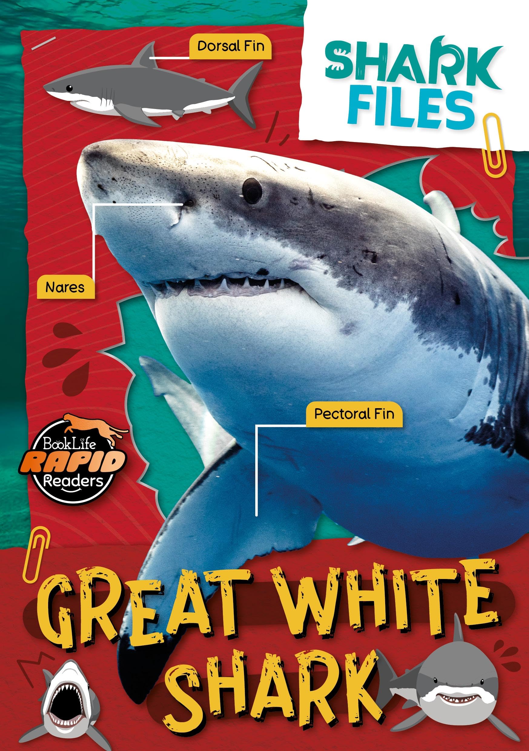 Great White Shark (Shark Files)