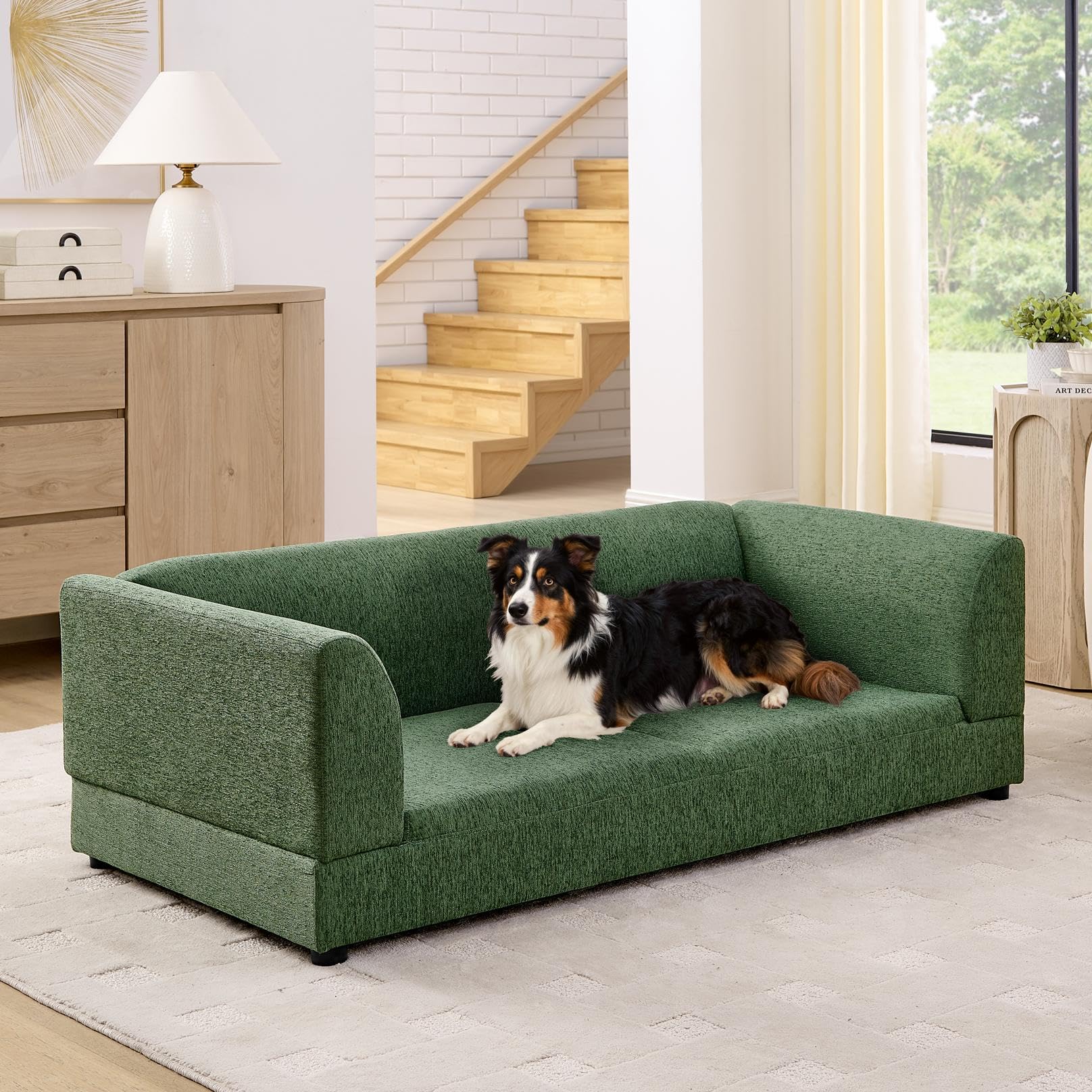 Oversized Dog Sofa Couch for Medium and Large Dogs with Backrest and Armrest, 56.5" Memory Foam Dog Sofa Bed, Modern Elevated Pet Couch Bed with Legs, Green